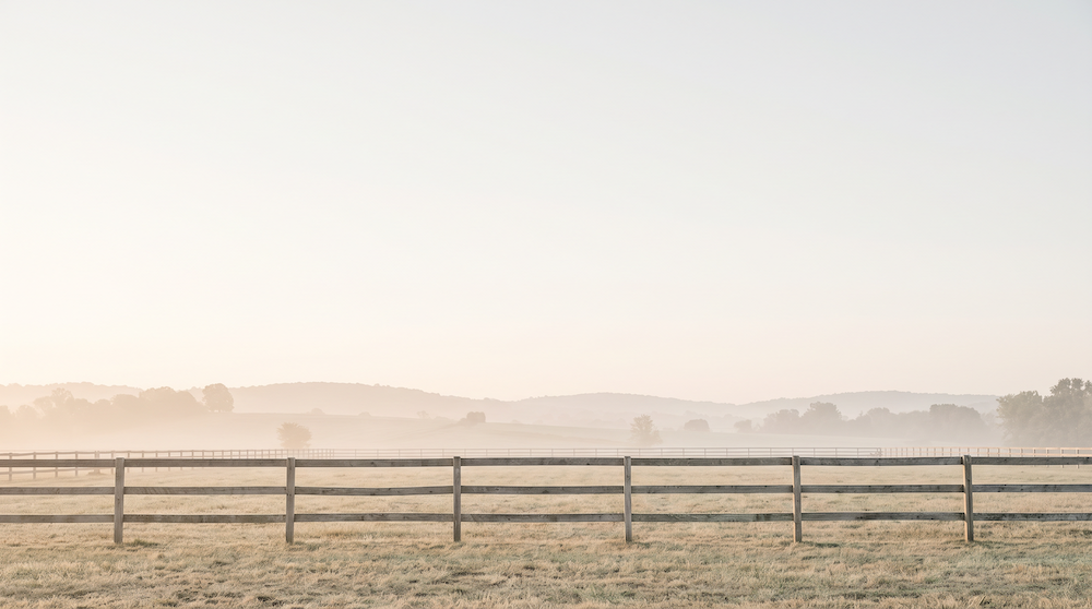 An equestrian provider with a horse